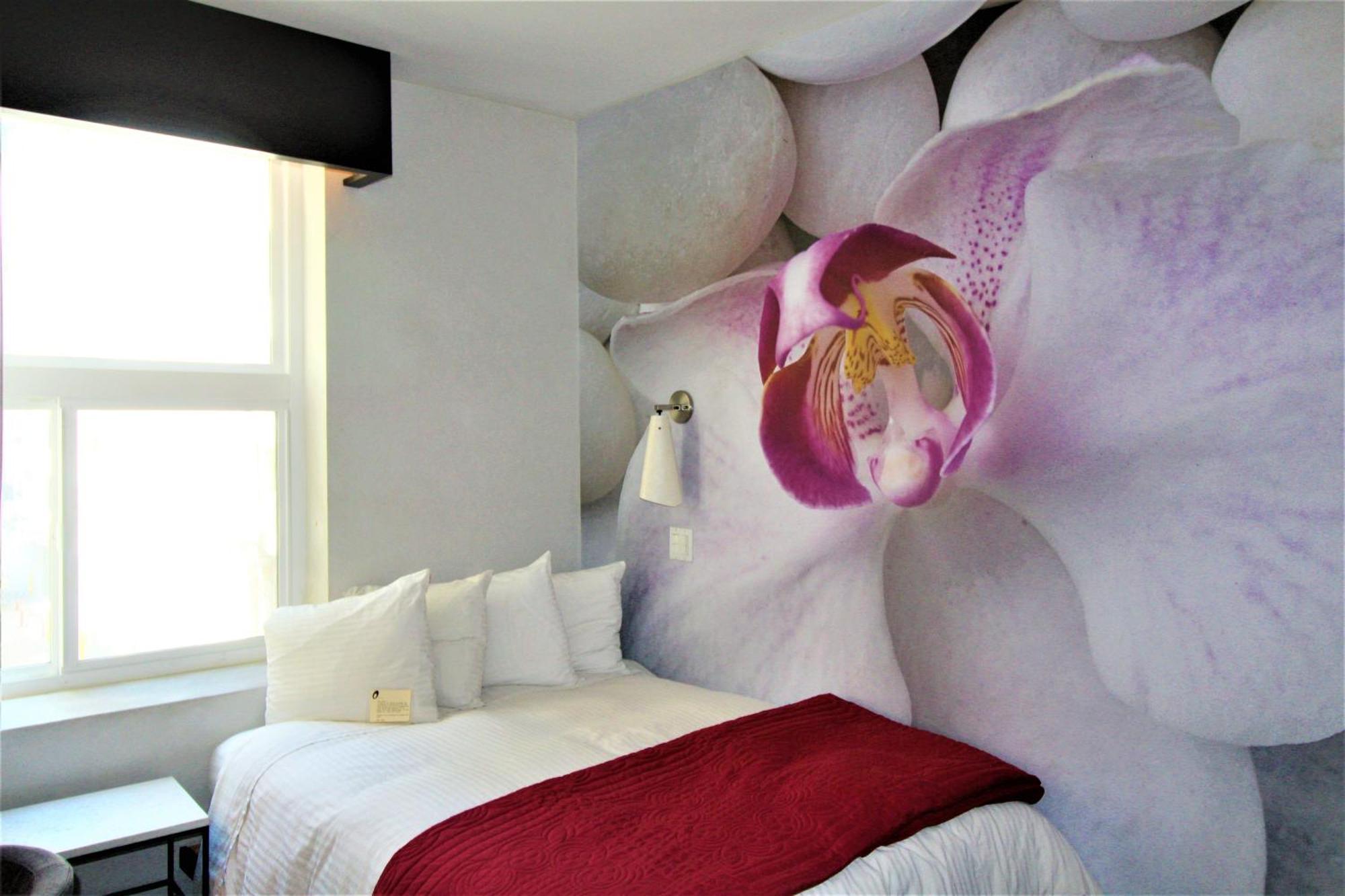 โอโฮเต็ล Hotel ลอสแอนเจลิส ภายนอก รูปภาพ